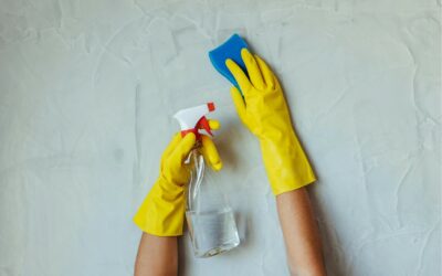 Vocht en schimmel: zo houd jij je huis gezond